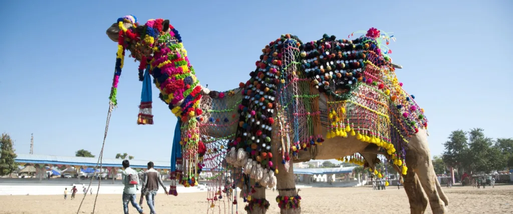 Pushkar Camel Fair