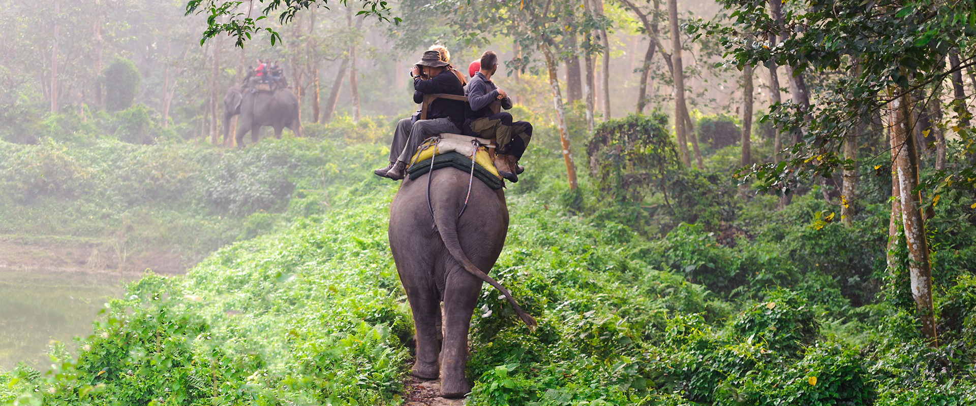 Kerala Tour