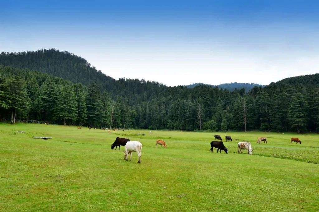 Dalhousie North India Tours