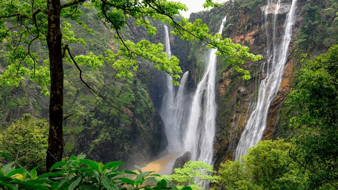 Jog Falls – Check out one of the Tallest Waterfalls in India